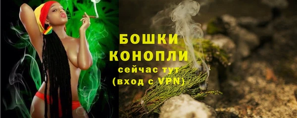 трава Беломорск