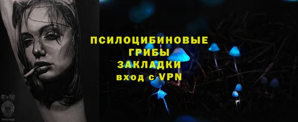 трава Беломорск