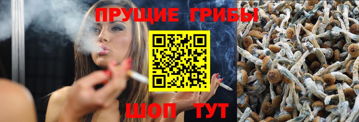Галлюциногенные грибы GOLDEN TEACHER Буйнакск