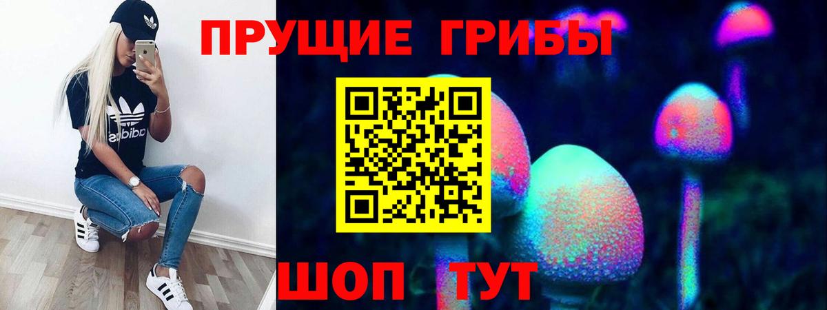 Буйнакск  Галлюциногенные грибы прущие грибы  Вход с VPN 